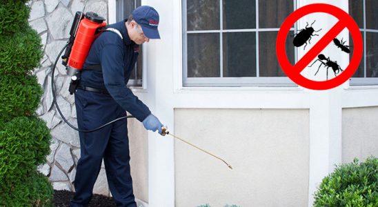 Karatay Tahtakurusu İlaçlama böcek ilaçlama ve haşere kontrolü — ilaclama-tr.com